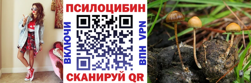 Купить где  Галич  Псилоцибиновые грибы MAGIC MUSHROOMS 